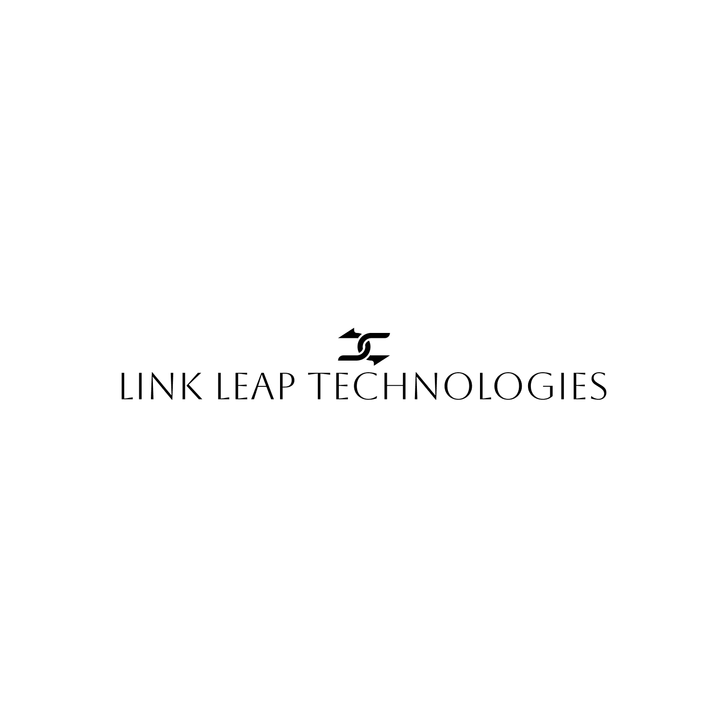 Link Leap Logo